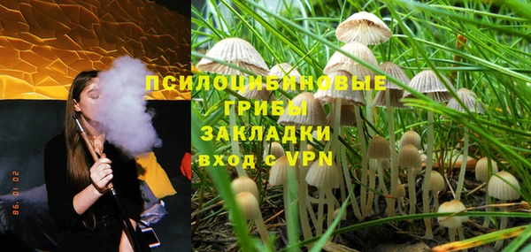 дмт Нея