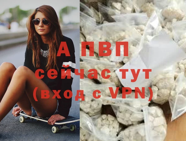 дмт Нея