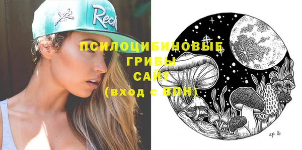 дмт Нея